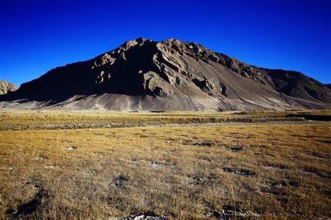 Premium Photo | Texture desert land sand dunes barkhans, deserts