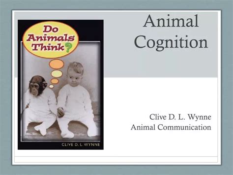 PPT - Animal Cognition PowerPoint Presentation, free download - ID:5543946