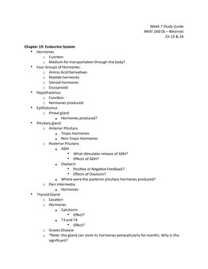 Anat Study Guide Chapter Oxytocin Produced By The