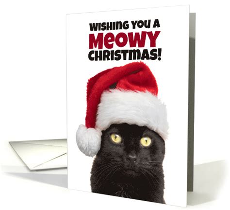 Meowy Merry Christmas Cute Black Cat In Santa Hat Humor Card