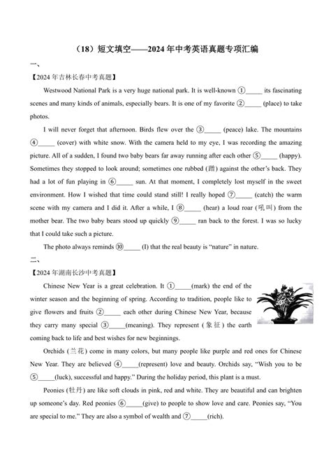 （18）短文填空——2024年中考英语真题专项汇编（含解析） 21世纪教育网