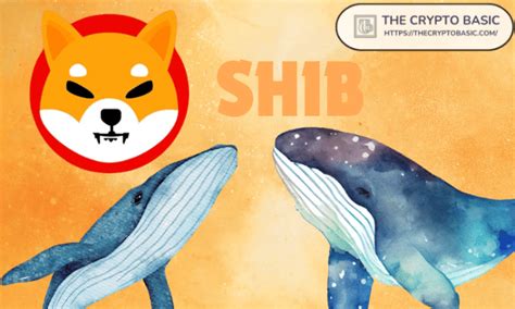 Shiba Inu Lead Reacts As Whale Turns 10K In SHIB To 2 5B And