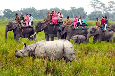 Guwahati Kaziranga National Park Tour Holiday Packages To