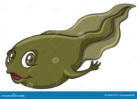 Tadpole Cartoons, Illustrations & Vector Stock Images - 1030 Pictures ...