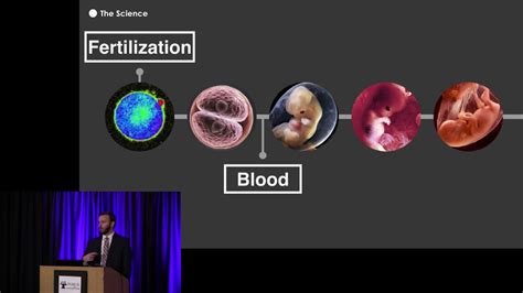 Life Begins At Fertilization Youtube