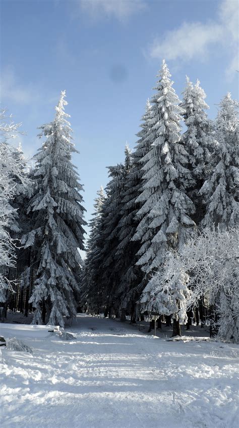 Winter in Belgium | Winter magic, Beautiful nature, Beautiful spots