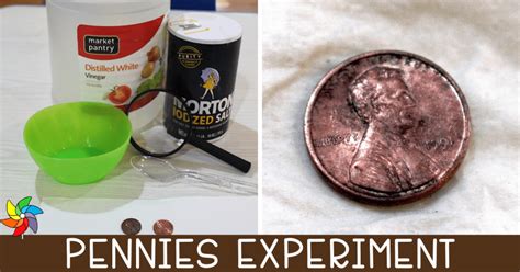 Penny Experiment For Preschoolers