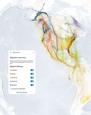 Audubon Adventures - The Bird Migration Explorer