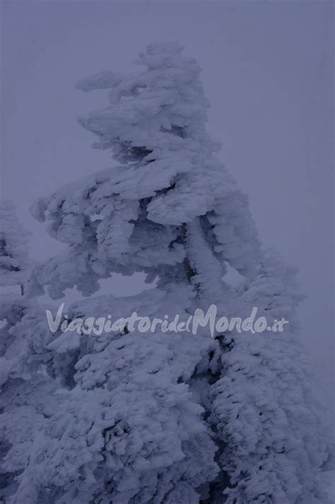 Zao Onsen Yamagata Alessandro Cirillo Flickr