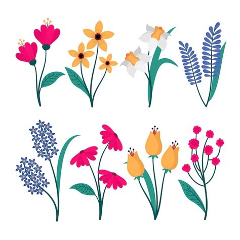 Conjunto De Flores De Primavera Dibujadas A Mano Vector Gratis