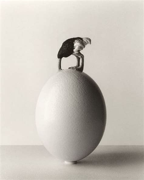 Photography Exhibition - Chema Madoz