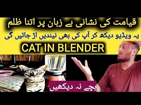 Cat In Blender Full Video Original Cat In Blender Full Video Original