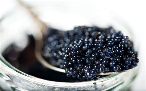 Have You Ever Eaten Caviar? | Wonderopolis