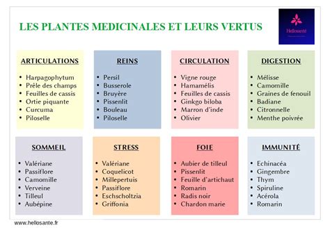 Les plantes médicinales et leurs vertus