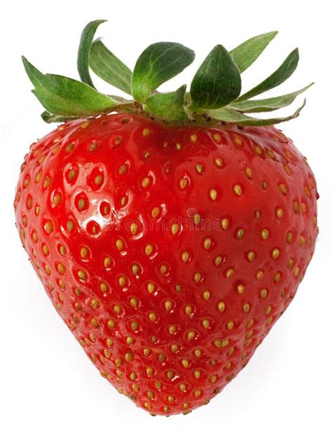 14,000+ Strawberry Free Stock Photos - StockFreeImages