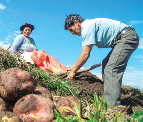 El 31 De Marzo Vence Cobro De Bono Para Agricultores