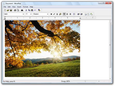 File:6568 Wordpad.png - BetaWiki