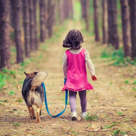 Children and dogs: Kids with dogs happier, healthier, more confident