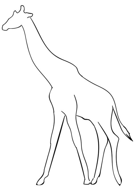 34 Desenhos De Girafas Para Colorir Desenhos Para Colorir