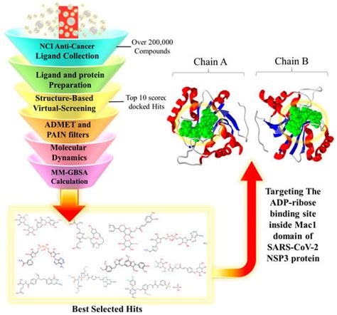 Viruses Free Full Text Structure Based High Throughput Virtual