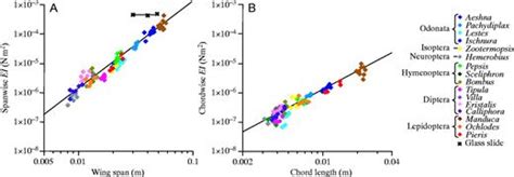 Flexural Stiffness In Insect Wings I Scaling And The Influence Of Wing