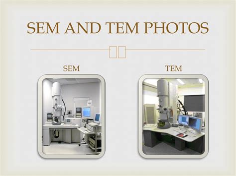 Ppt Microscopes And Stains Powerpoint Presentation Free Download Id 467637