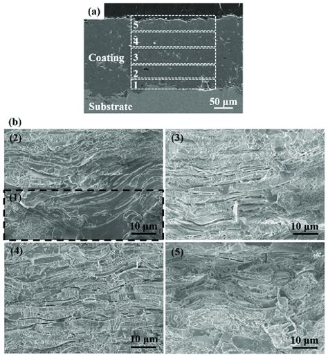 A Cross Section Morphology Of The As Sprayed Ha Coating And B Sem