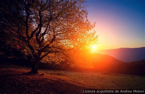 Meteo Siena Da Cielo Sereno A Rovesci Intensi Ecco Le Previsioni Dei