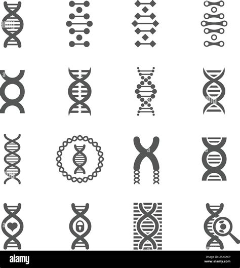 Dna Spiral Vector Black Icons Biology Genetic Signs And Dna Molecule