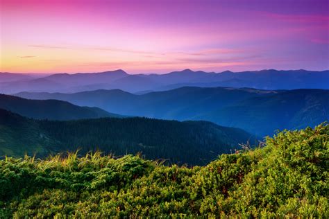 Obituaries | McCarty Funeral Directors & Cremation Services