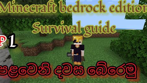 පළමු දවස බේරෙමු Minecraft Bedrock Edition Survival Guide Ep1 Tiger King