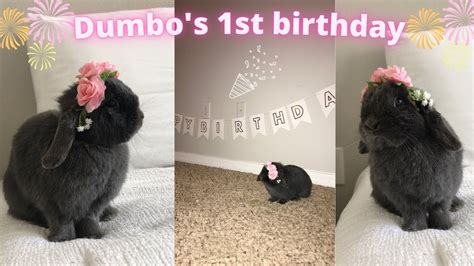 Bunny Birthday Party Youtube