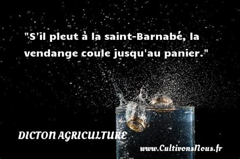 S il pleut à la saint Barnabé la vendange coule jusqu au panier Un