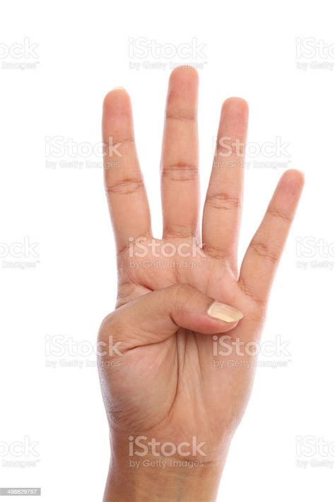 Human Hand Showing Four Finger Sign Stock Photo Download Image Now