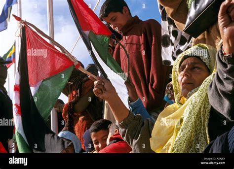 Sahrawi People celebrating the Western Sahara Independence Day Stock ...