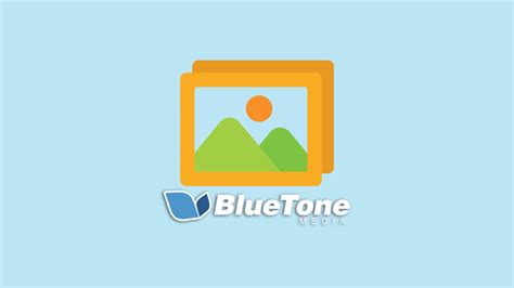 Seo Image Size A Comprehensive Guide To Image Optimization Bluetone