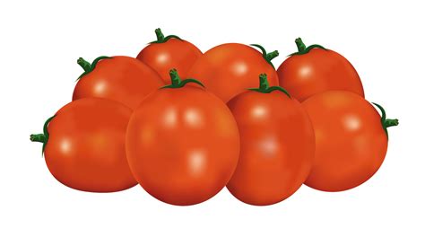 Illustrazione Di Pomodori 23522576 Png