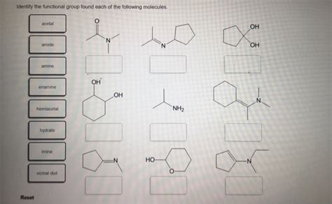 Solved Identify The Functional Group Found Each Of The Chegg