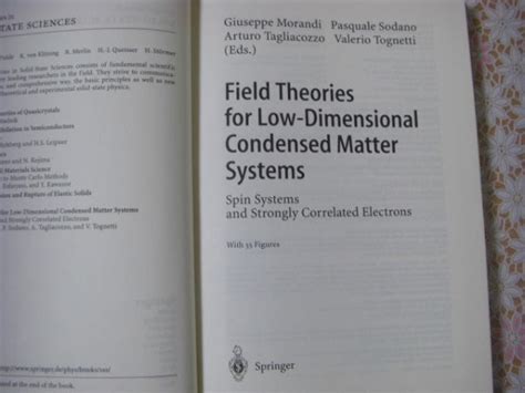 Yahooオークション 物理洋書 Field Theories For Low Dimensional C