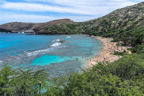 Hanauma Bay Lookout Dive Into Honolulu’s Prime Snorkeling Destination Go Guides