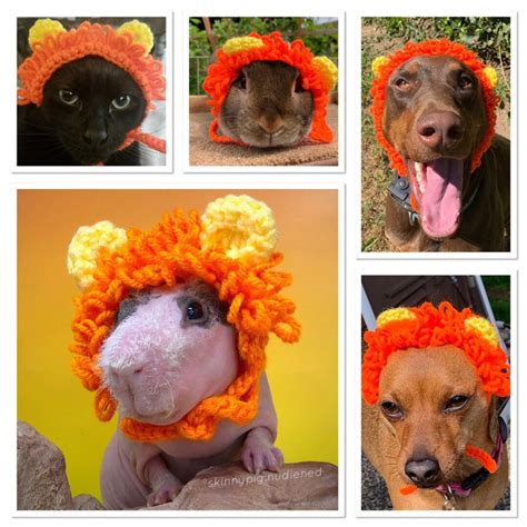 Crochet Pattern Lion Mane for Pets Dogs Cats Guinea Pigs - Etsy