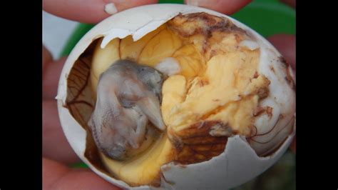 Canadian Eats Balut Duck Embryo In Dumaguete Philippines Youtube