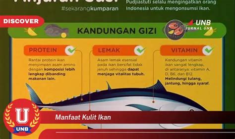 Temukan 6 Manfaat Kulit Ikan Yang Wajib Kamu Intip