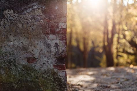 Vochtprobleem Herkennen En Oplossen Woning En Interieur