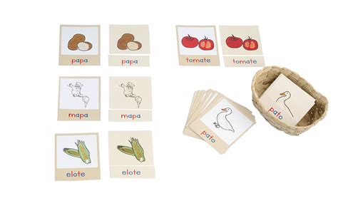 Autodictados Serie 1 Script Kit Montessori