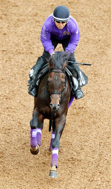 【プリンシパルs】友道厩舎の良血馬ポタジェ、武豊を背にダービー切符取る！ Umatoku 馬トク