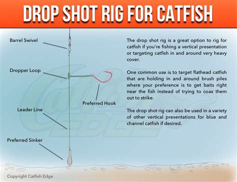 Drop Shot Rig For Heavy Cover Catfish