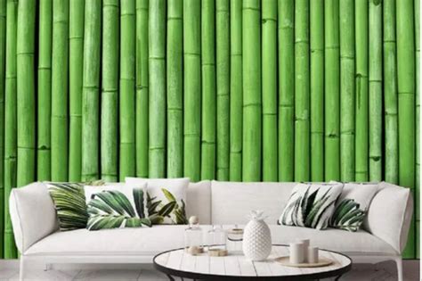 Royal Design Green Bamboo Wallpaper At Rs 130roll In Surat Id 2853350244633