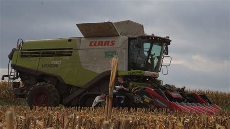 Koszenie Kukurydzy Na Ziarno Kws Kondratowice Claas Lexion