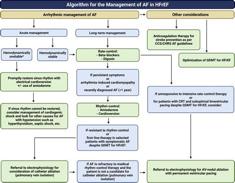 Atrial Fibrillation In Heart Failure A Practical Approach For The